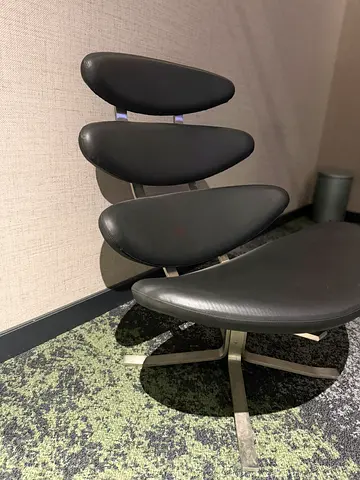 The Corona chair 5000 - Swivel lounge chair - brushed steel / leather
