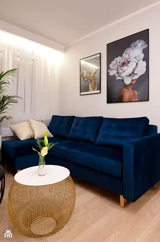 Modern Living room L Shaped Sofa