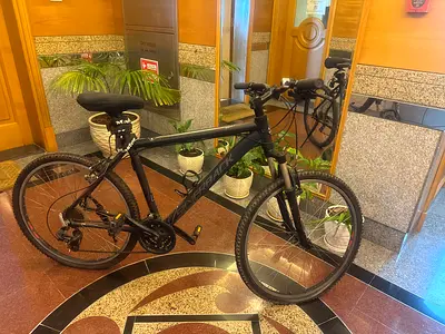 Silver back bike