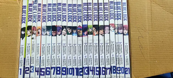 Manga Box Set/Individual