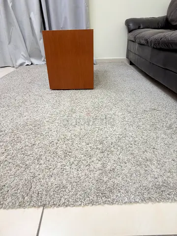 Light grey shaggy area rug - good condition