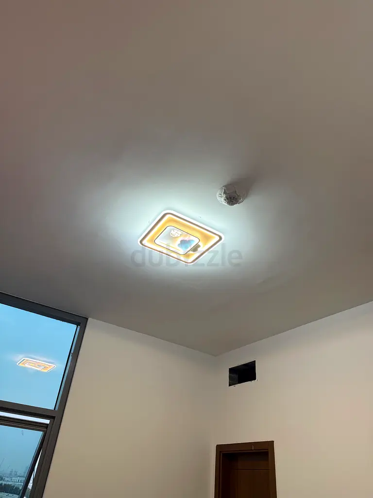 DPV_View_Image_2