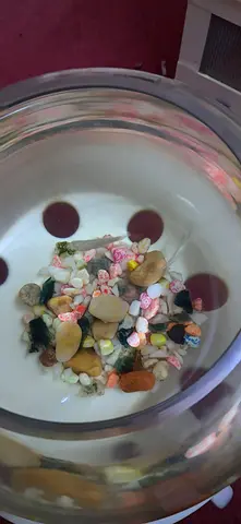 2 white Fish with bowl aquarium