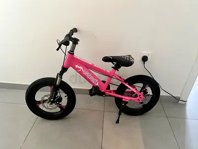 20 inch Kids Bike, Pink, with Disc Brakes, Adjustable Handlebars, Metal Frame, 7-11 y