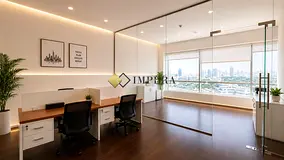 FITTED | DED LICENSE | MEDIA CITY