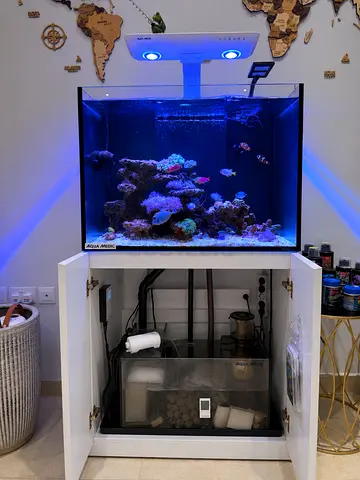 Complete Saltwater Aquarium Setup with Cabinet, Filtration and LED Light