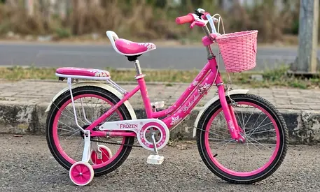 Pink 20-inch Kids Bicycle with Rear Carrier, Front basket, side training wheels. very Good Condition