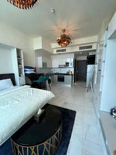 Direct from Owner | Fully Furnished Studio | Bayz Danube Business Bay