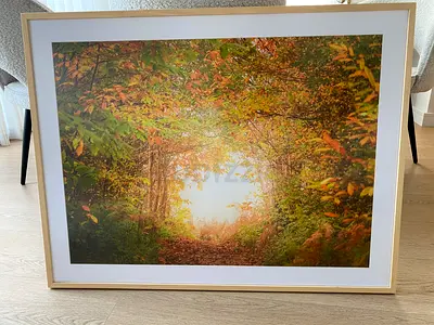 Autumn Print