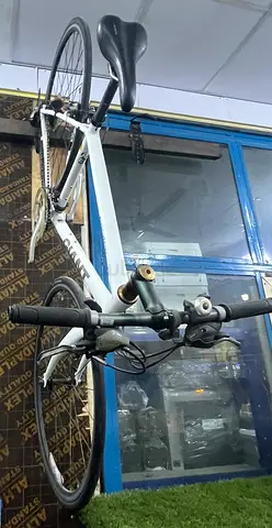 Giant Bike