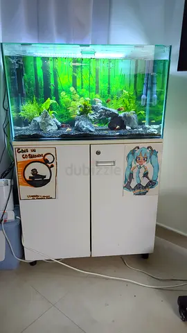 Aquarium