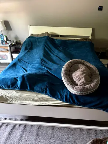 Queen Size Bed