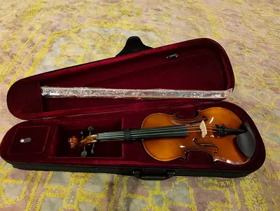 Full-size Violin with Bow and Hard Case - perfect condition