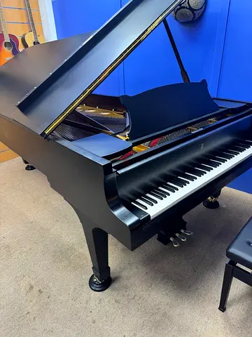 Steinway piano Model D best condition AKM MUSIC