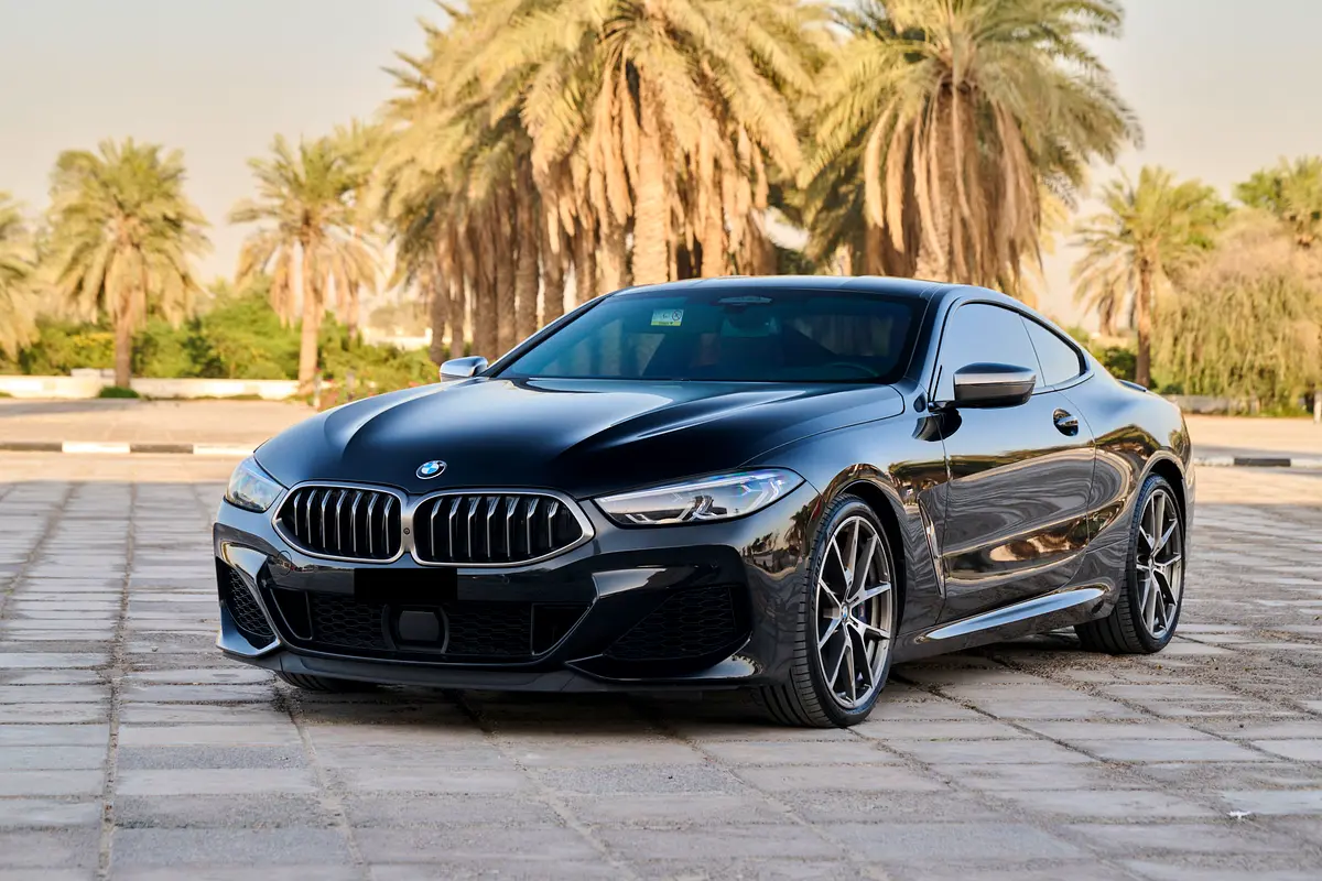 BMW 8-Series 2019 — photo 1 of 14