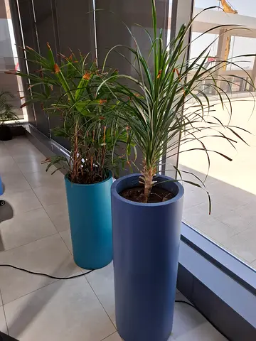 Modern cylindrical plant with pot (blue) — good condition