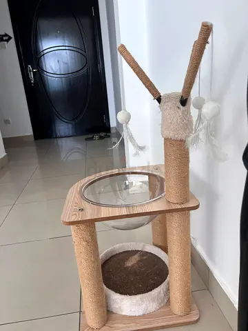 Used Cat Scratching Post with Perch and Cozy Bed