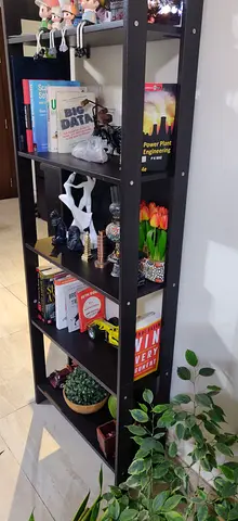 Ikea book case Laiva black Brown
