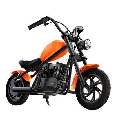Rideon Cruiser Electric Harley For older kids with Fun smoke 24 v
