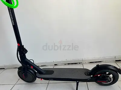 Thunder Bird Electric Scooter