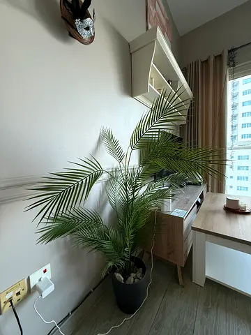 artificial palm tree