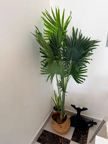 Artificial Plants