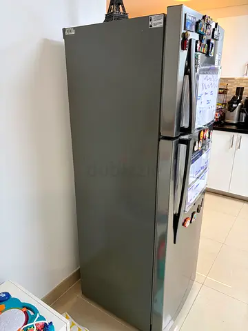 LG 350 litre Stainless Steel Refrigerator
