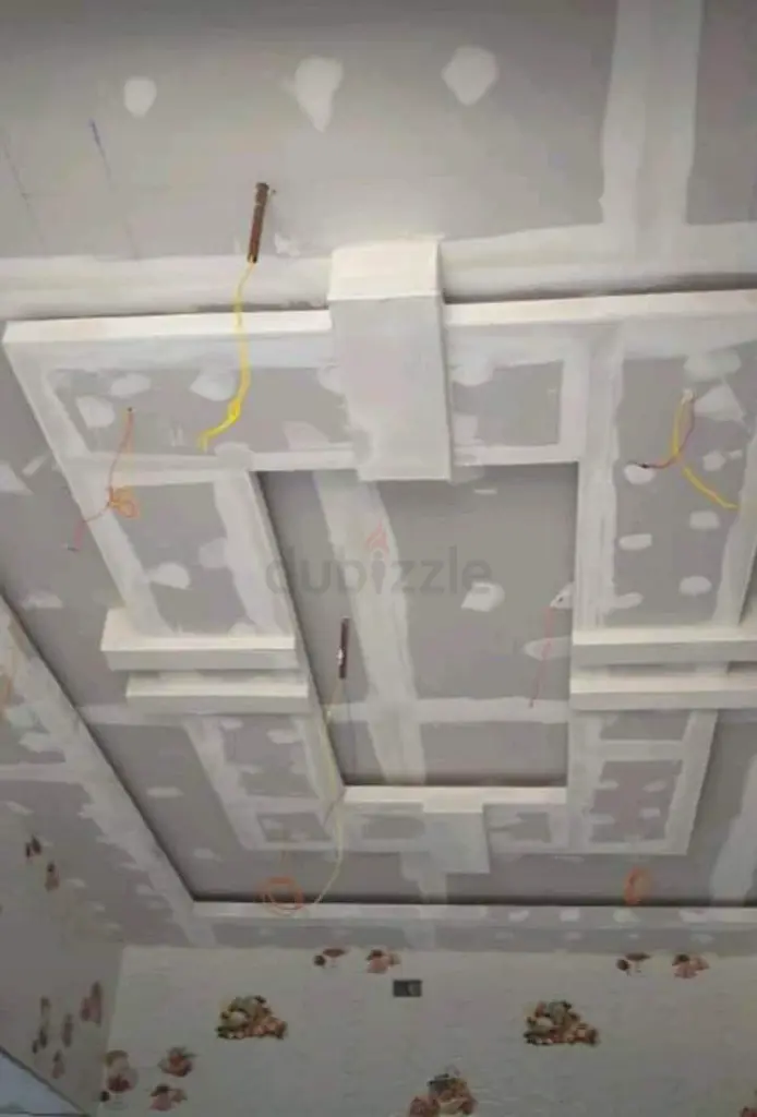 DPV_View_Image_8