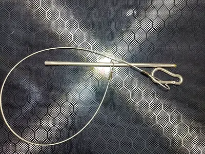 Fish holder
