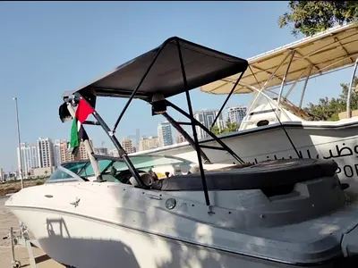 Searay a 195 sports 2010