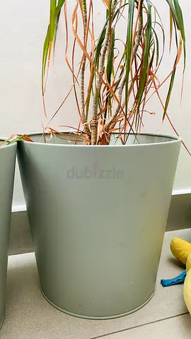 Mixed set of indoor plant pots and watering can - assorted sizes