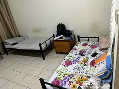 Furnished sharing accommodation available for an executive bachelor at Discovery gardens Jabel Ali