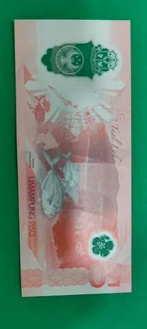 Collection: 50 Piso Philippine Banknote (single note)