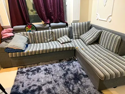 Sofa and carpet For free