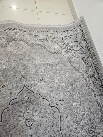 Beautiful Grey Persian-style medallion rug — 8x10 (approx)