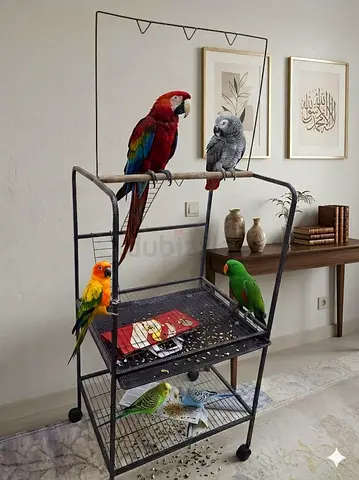 Big size birds cages and play stand