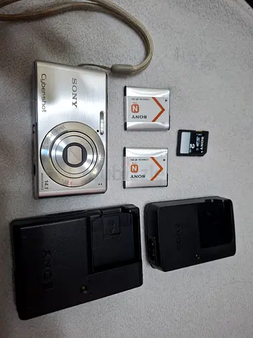 Sony Cyber-shot 14.1MP Compact Camera with 2 Batteries, Charger and 2GB Card Sony DSC-W530
