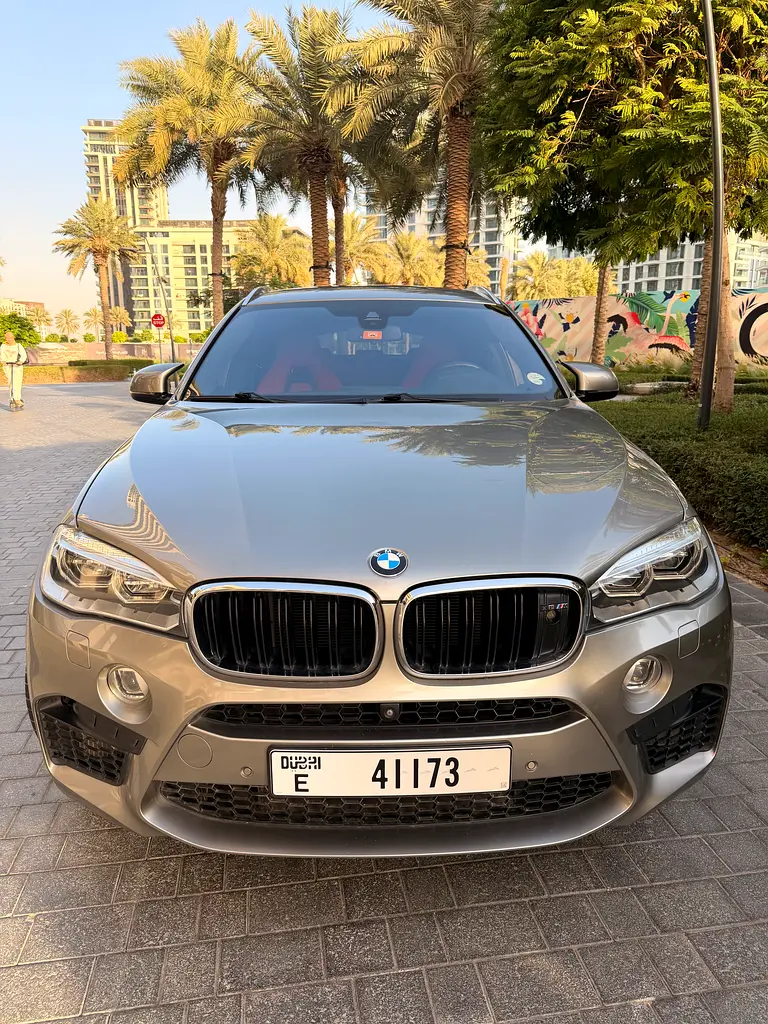 BMW X6 2016 — photo 1 of 15