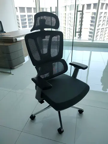 Ergonomic Mesh Office Chair with Headrest