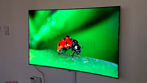 LG OLED TV 55 inch