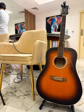 Semi Acoustic Guitar