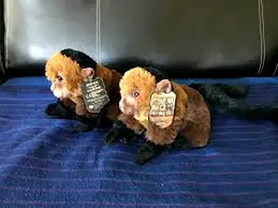 2 “Night at the Museum” Dexter 8” Plush Toys