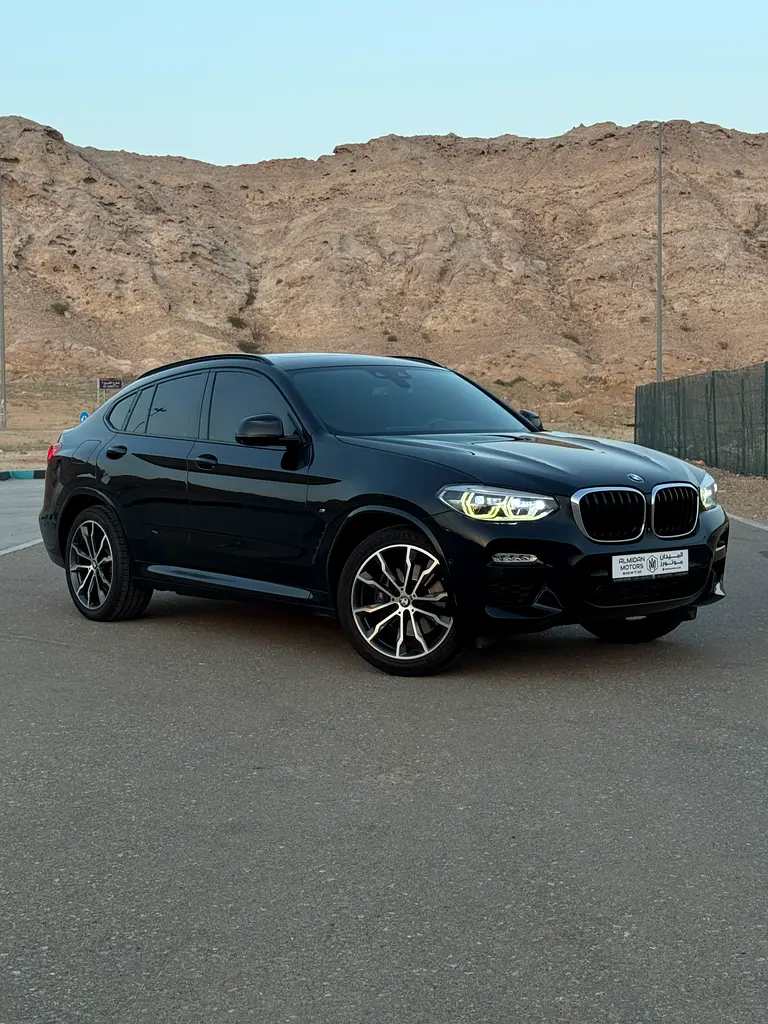 BMW X4 2019 — photo 1 of 20
