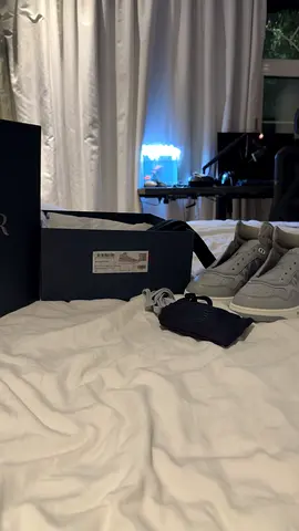 Dior b27 shoes