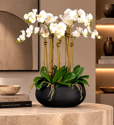 Artificial White Orchid Arrangement in Black Ceramic Pot