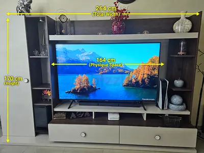 TV unit