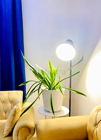 Floor lamp