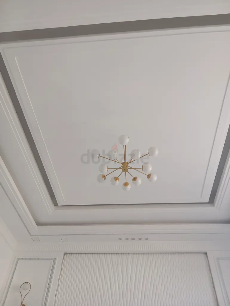 DPV_View_Image_4