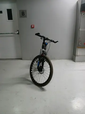 Skid fusion sport bicycle 2026 with changeable gears