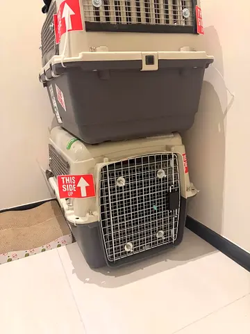 Cats and dogs carriers for air travel L 68